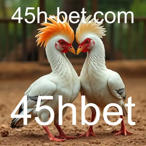 Security and Trust 45hbet - International Licenses and Certifications